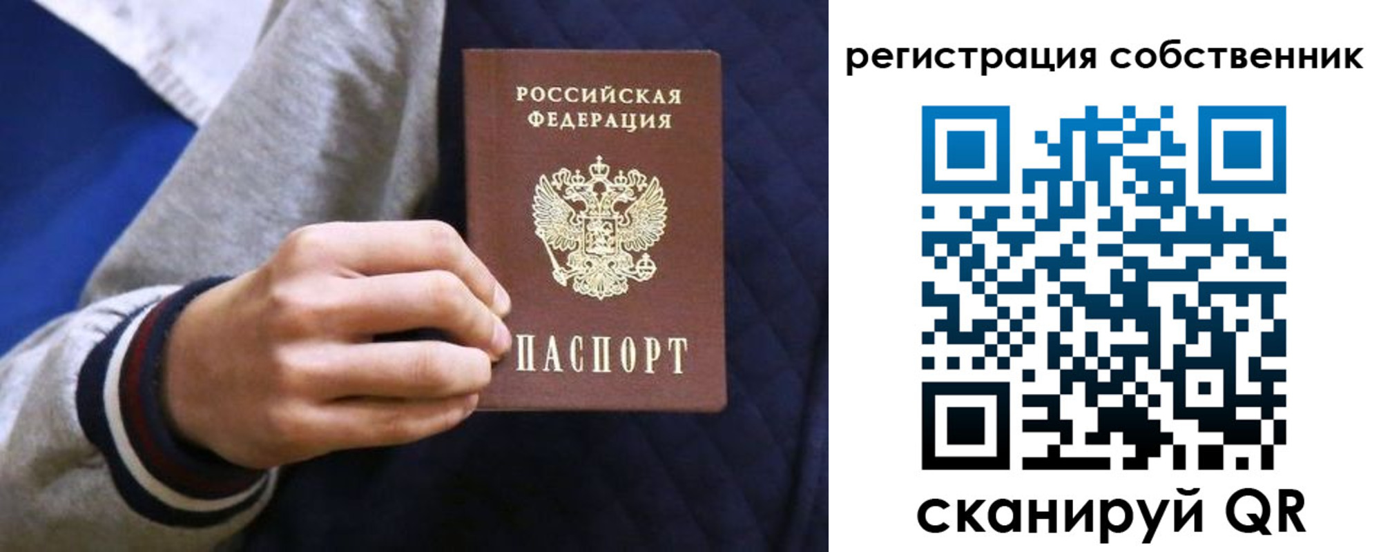 прописка поиск в Нововоронеже